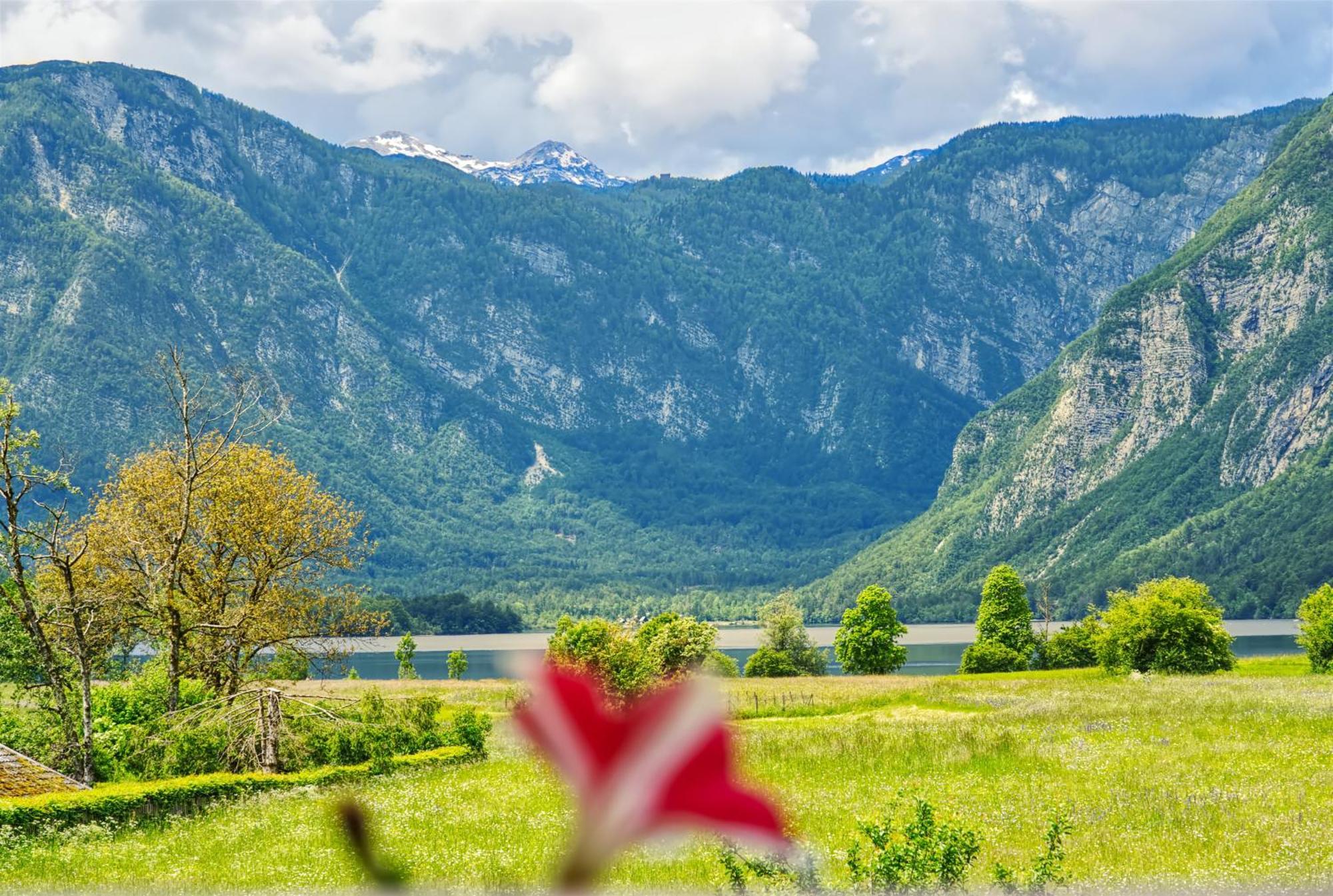 Apartments Kovacic Bohinji-tó Kültér fotó